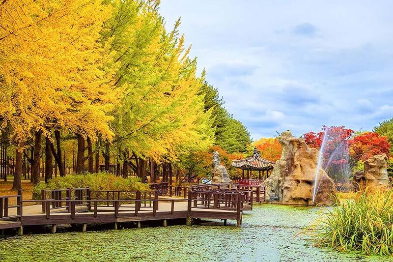 [Đặt ngay] Tour du lịch Hàn Quốc mùa thu lá vàng giá rẻ 2024