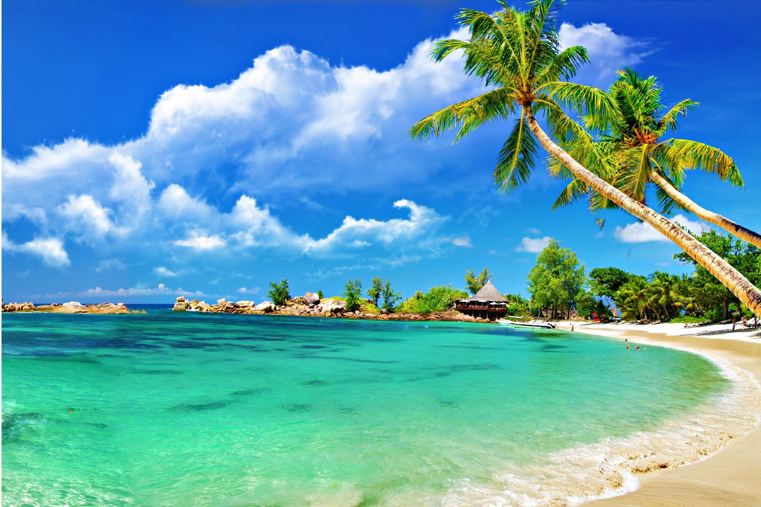 TOUR NHA TRANG 5 SAO TTC 3N3Đ – NGHỈ DƯỠNG CAO CẤP & GALA DINNER-3