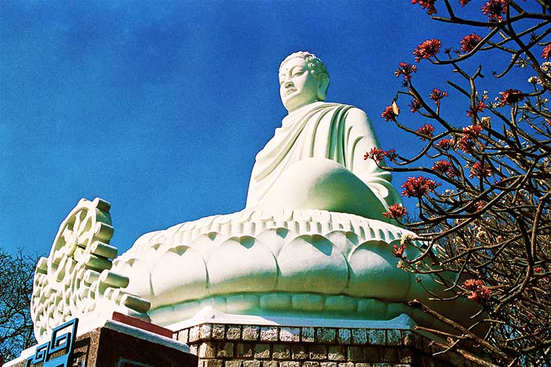 TOUR VŨNG TÀU 2N1Đ 2025 | CẢNG CÁI MÉP – NÚI THỊ VẢI – CHÙA BÚN RIÊU – KHÁCH SẠN 4 SAO-3