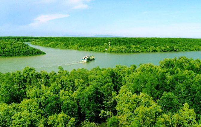 TOUR NGOẠI KHÓA CẦN GIỜ 1 NGÀY | RỪNG SÁC – ĐẢO KHỈ – LĂNG ÔNG THỦY TƯỚNG-3
